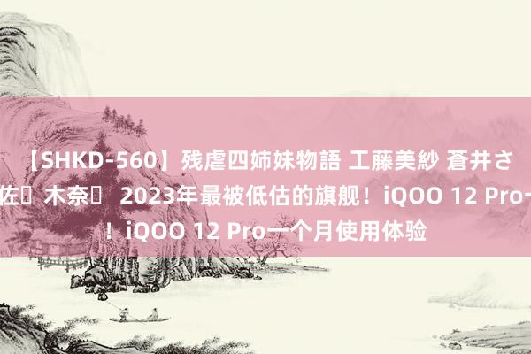 【SHKD-560】残虐四姉妹物語 工藤美紗 蒼井さくら 中谷美結 佐々木奈々 2023年最被低估的旗舰！iQOO 12 Pro一个月使用体验