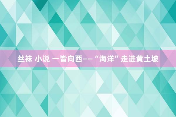 丝袜 小说 一皆向西——“海洋”走进黄土坡